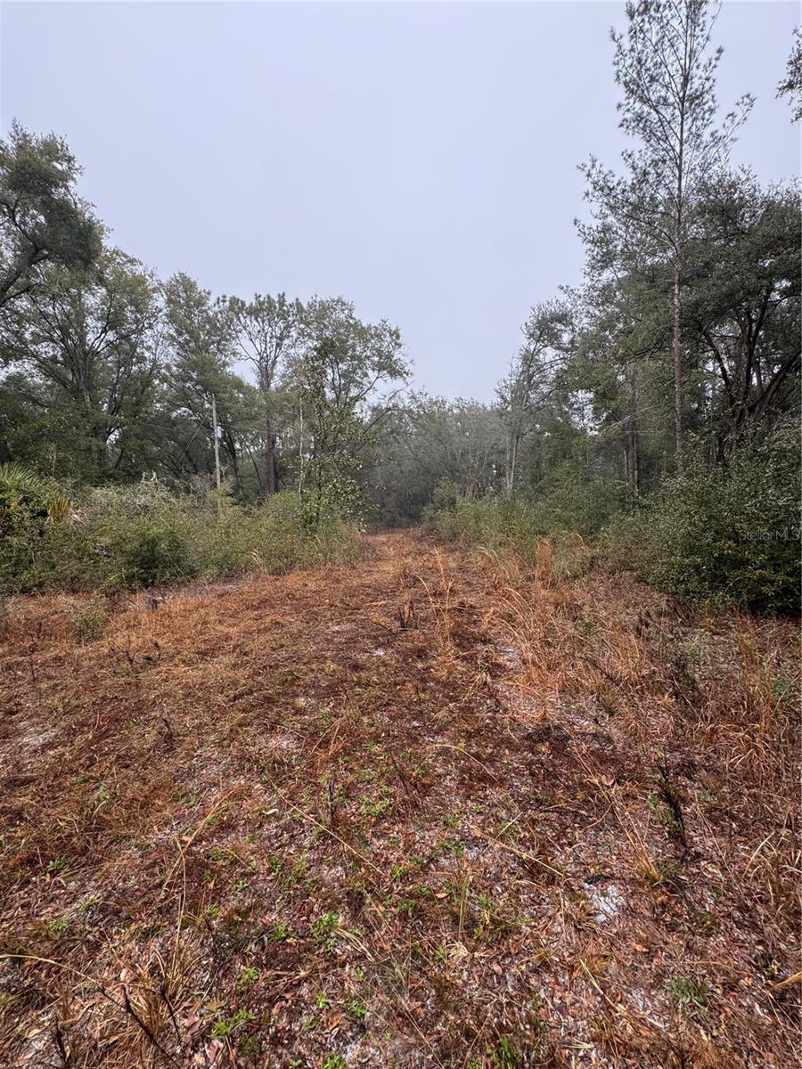 2795 SE 21ST AVE, SUMTERVILLE, FL — photo 12
