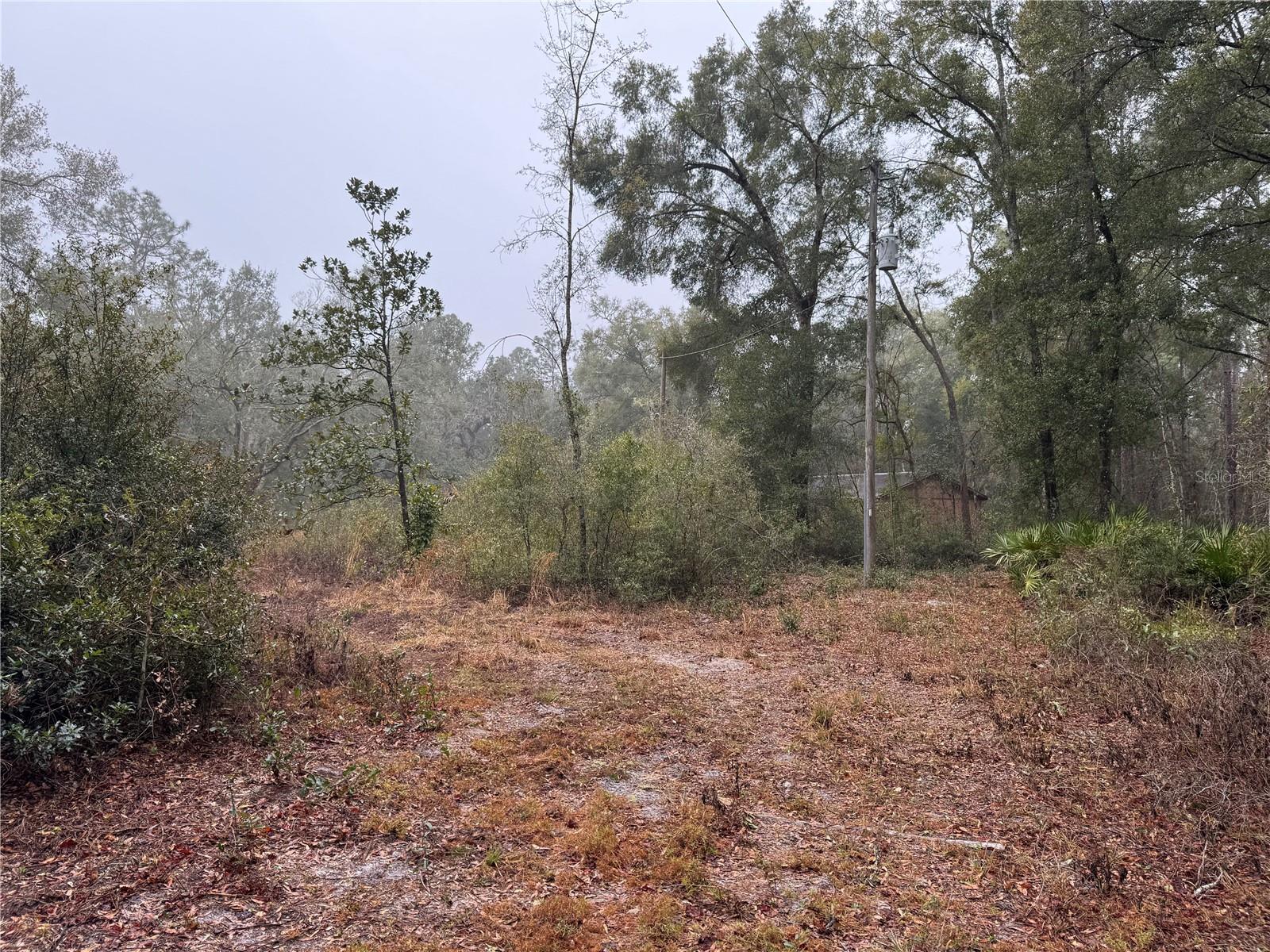 2795 SE 21ST AVE, SUMTERVILLE, FL — photo 13