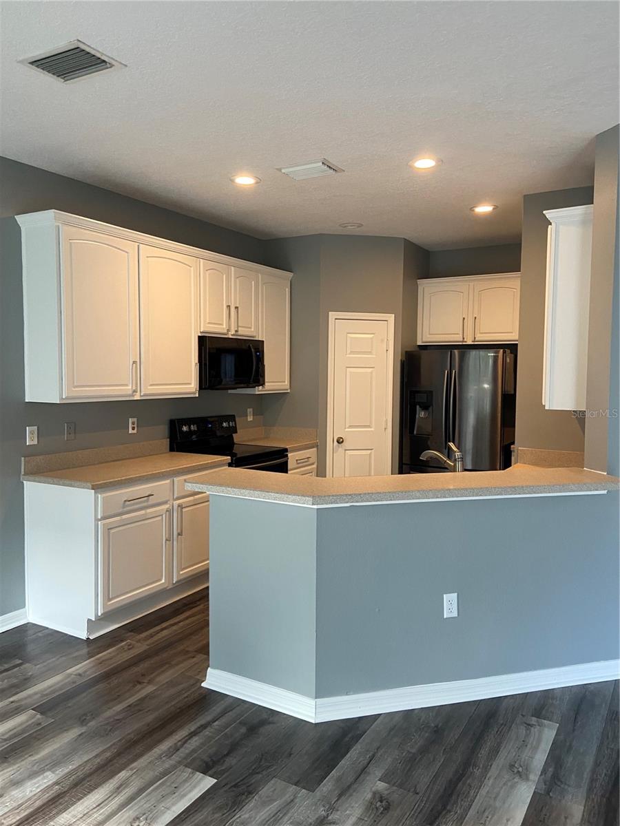 27546 PLEASURE RIDE LOOP, WESLEY CHAPEL, FL — photo 2