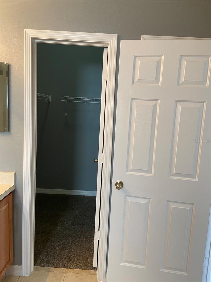 27546 PLEASURE RIDE LOOP, WESLEY CHAPEL, FL — photo 24