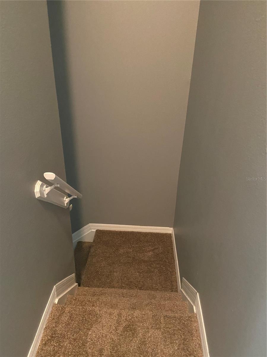 27546 PLEASURE RIDE LOOP, WESLEY CHAPEL, FL — photo 29