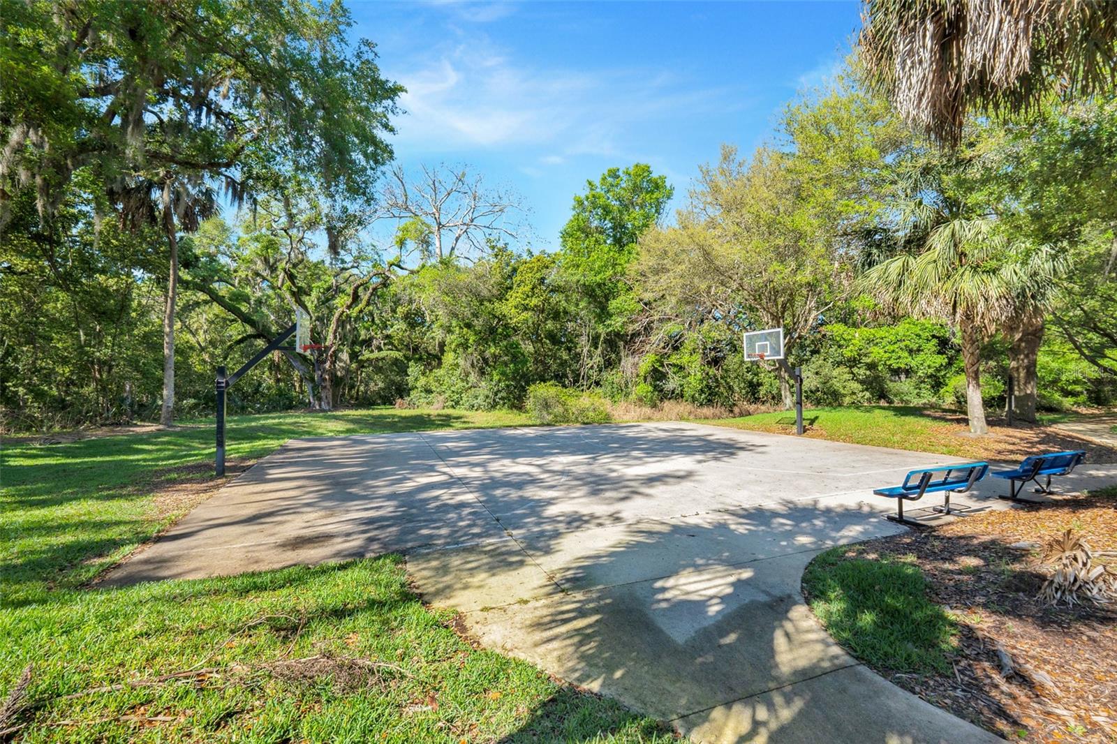 413 SPLIT OAK CT, EUSTIS, FL — photo 83