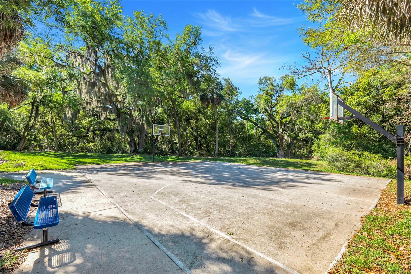 413 SPLIT OAK CT, EUSTIS, FL — photo 85