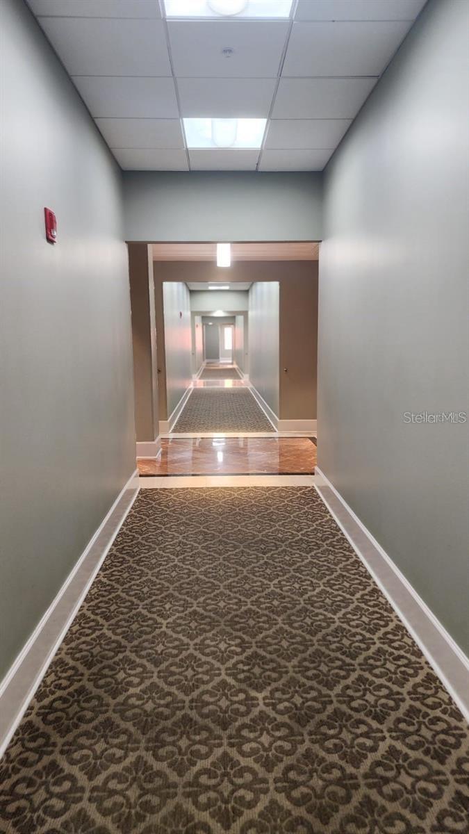 7065 WESTPOINTE BLVD #305, ORLANDO, FL — photo 5