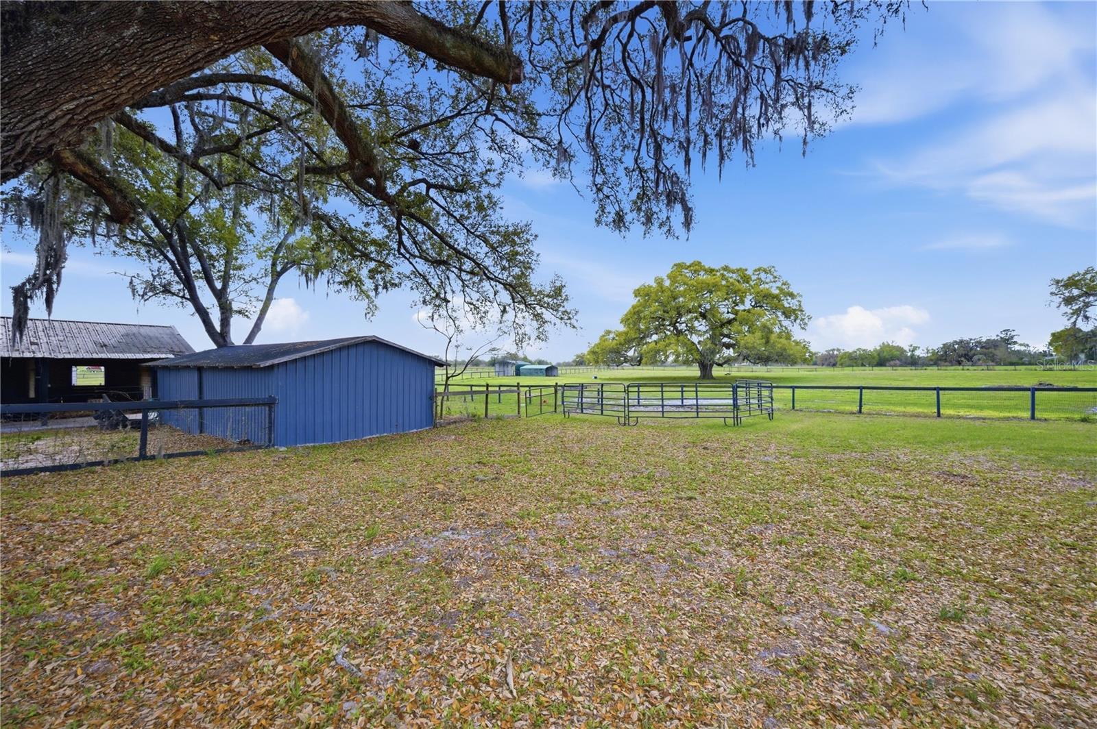 18850 SE 12TH LN, WILLISTON, FL — photo 34