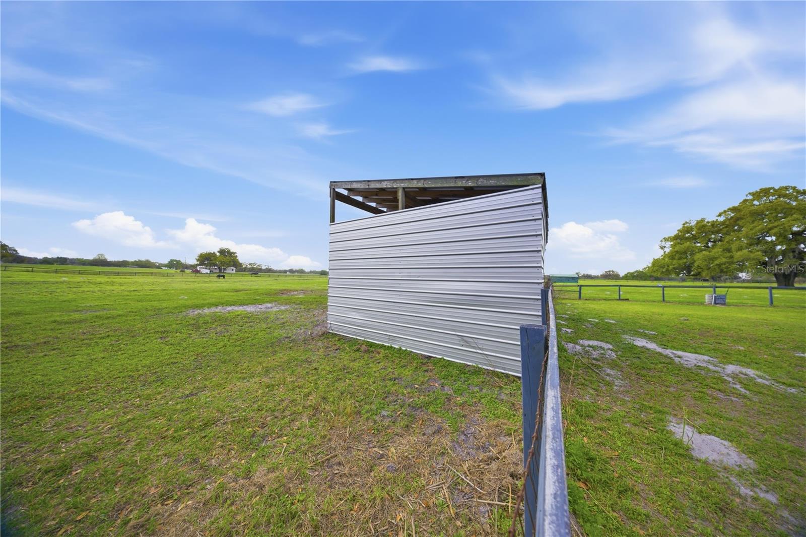 18850 SE 12TH LN, WILLISTON, FL — photo 44