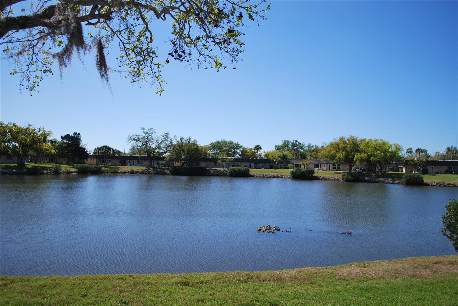 4136 STRATFORD DR, NEW PORT RICHEY, FL — photo 2