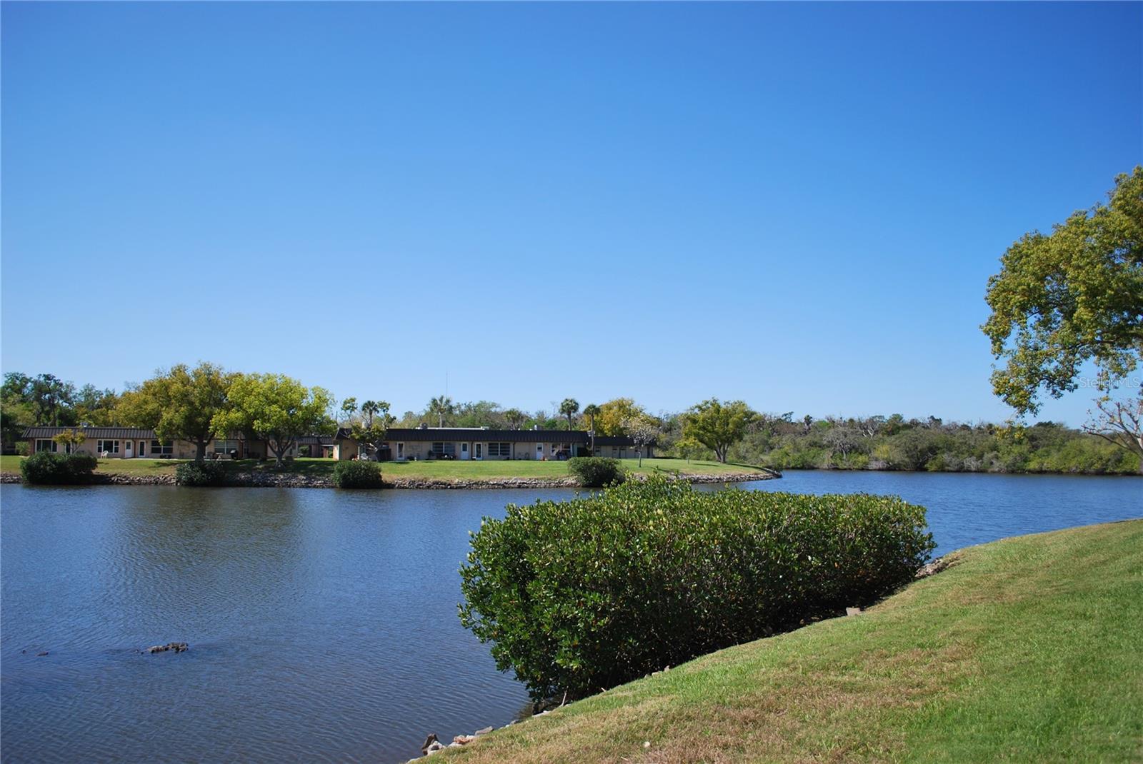 4136 STRATFORD DR, NEW PORT RICHEY, FL — photo 4