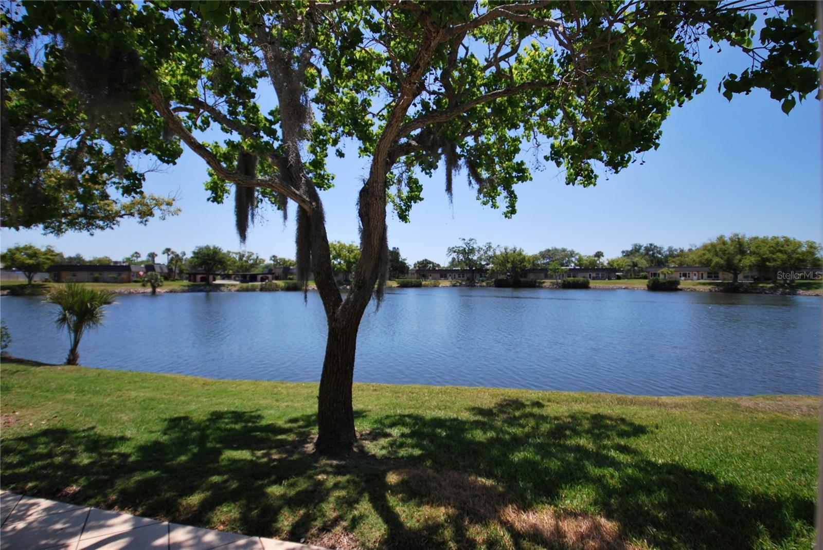4136 STRATFORD DR, NEW PORT RICHEY, FL — photo 3
