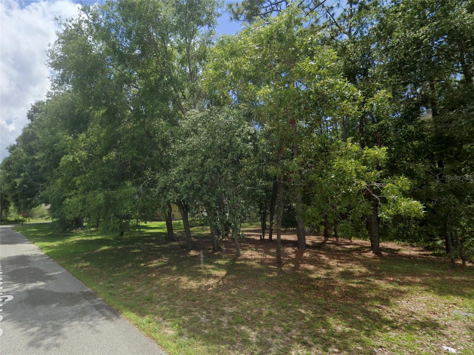 34027 CONGRESSIONAL AVE, DADE CITY, FL — photo 7