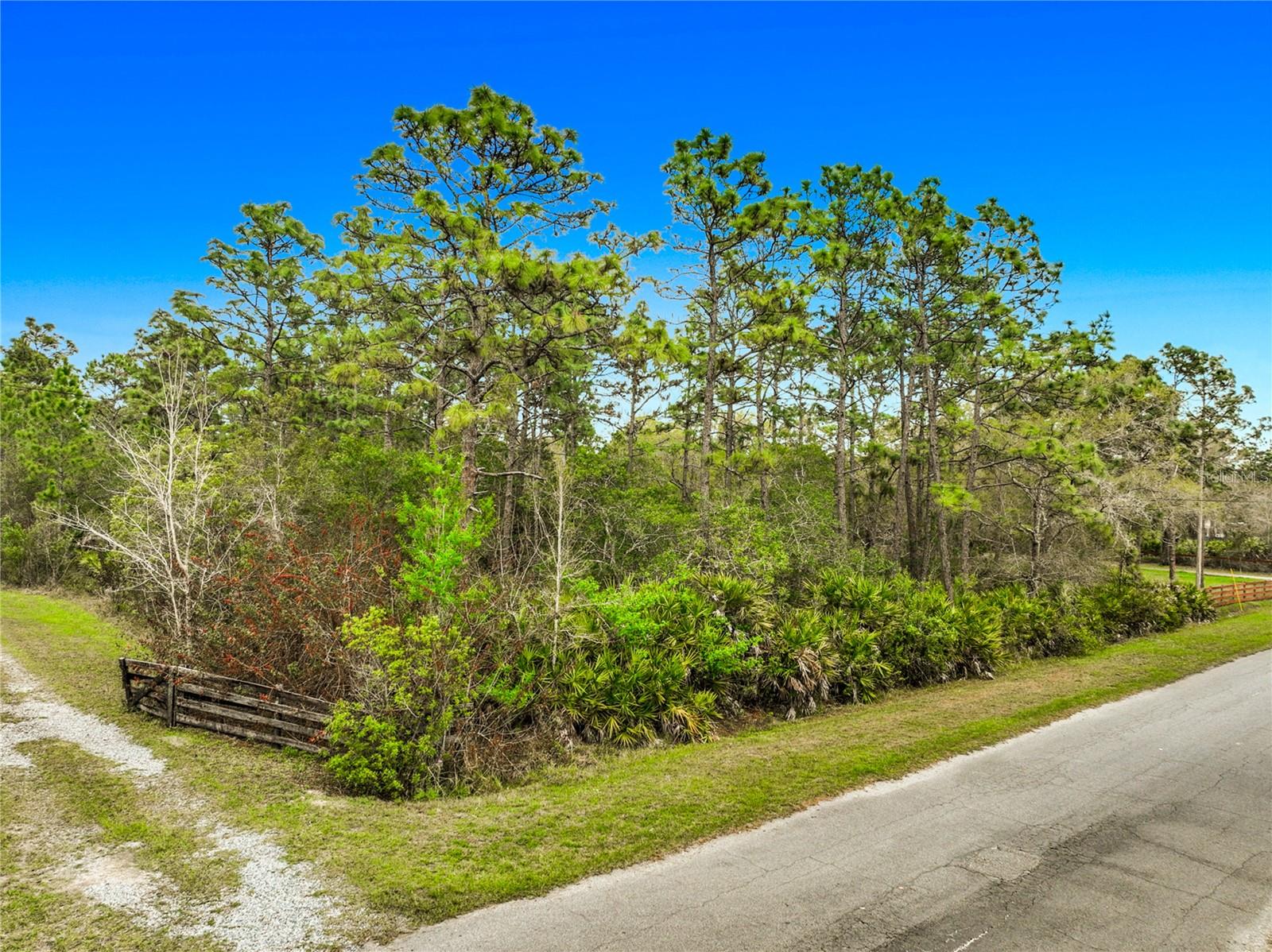 0 QUINLAN ST, ORLANDO, FL — photo 8