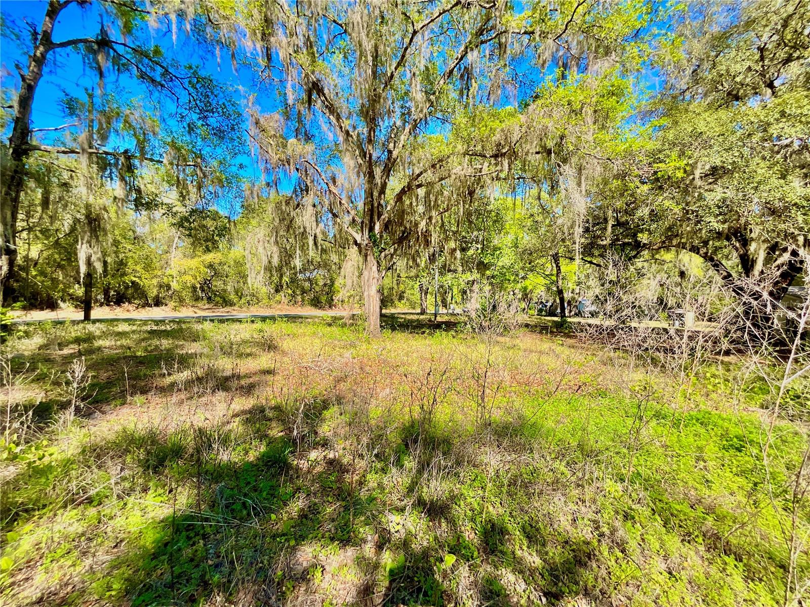 Lot 2 SE 16TH ST, MELROSE, FL — photo 4