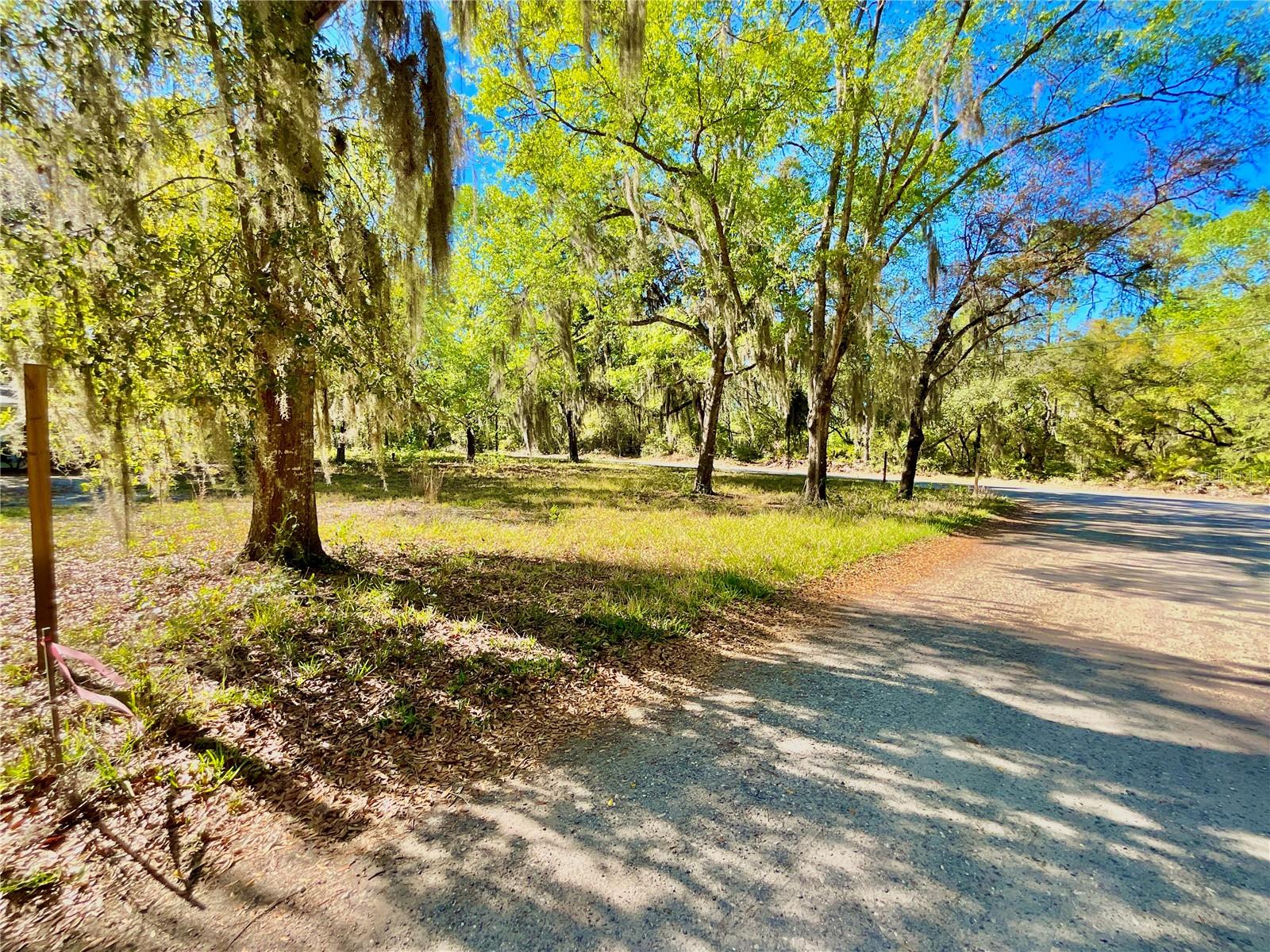 Lot 2 SE 16TH ST, MELROSE, FL — photo 6