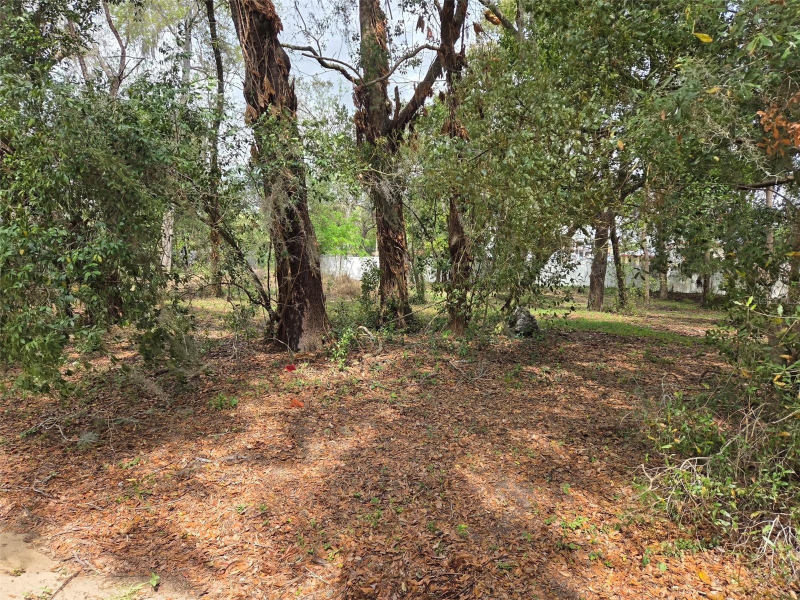KELLY LYNN COURT, ZEPHYRHILLS, FL — photo 2