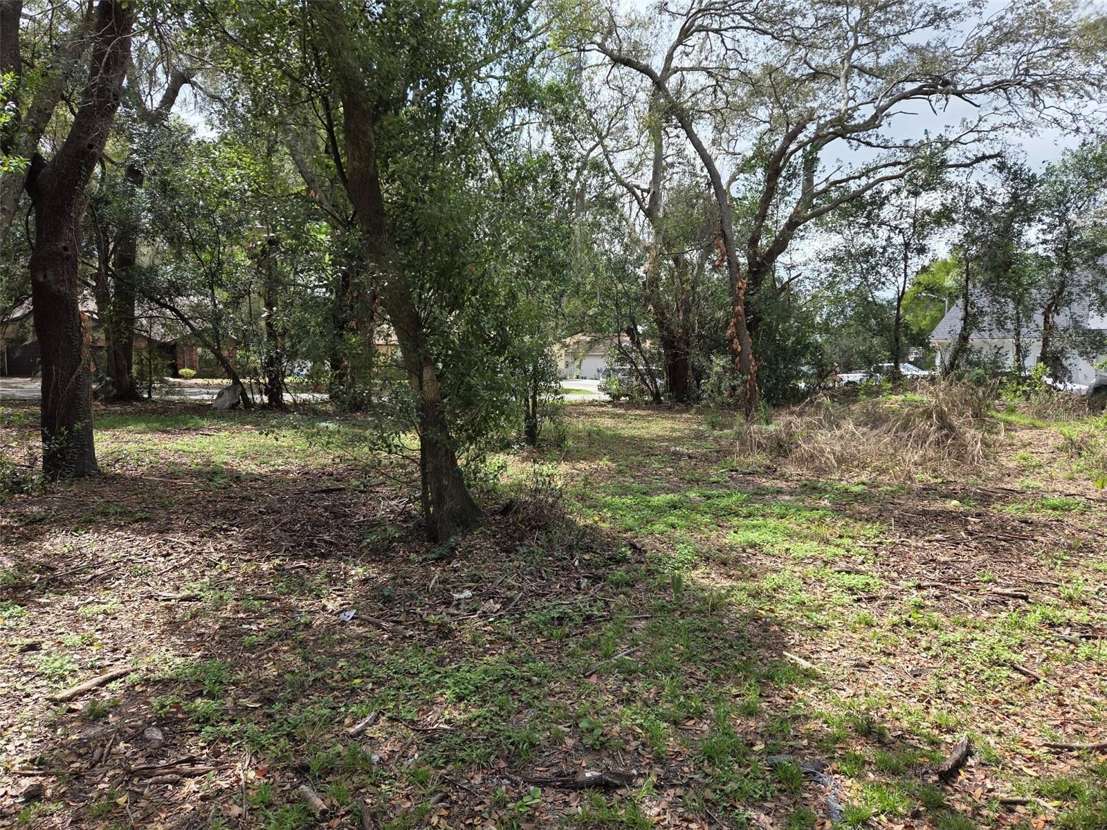 KELLY LYNN COURT, ZEPHYRHILLS, FL — photo 3