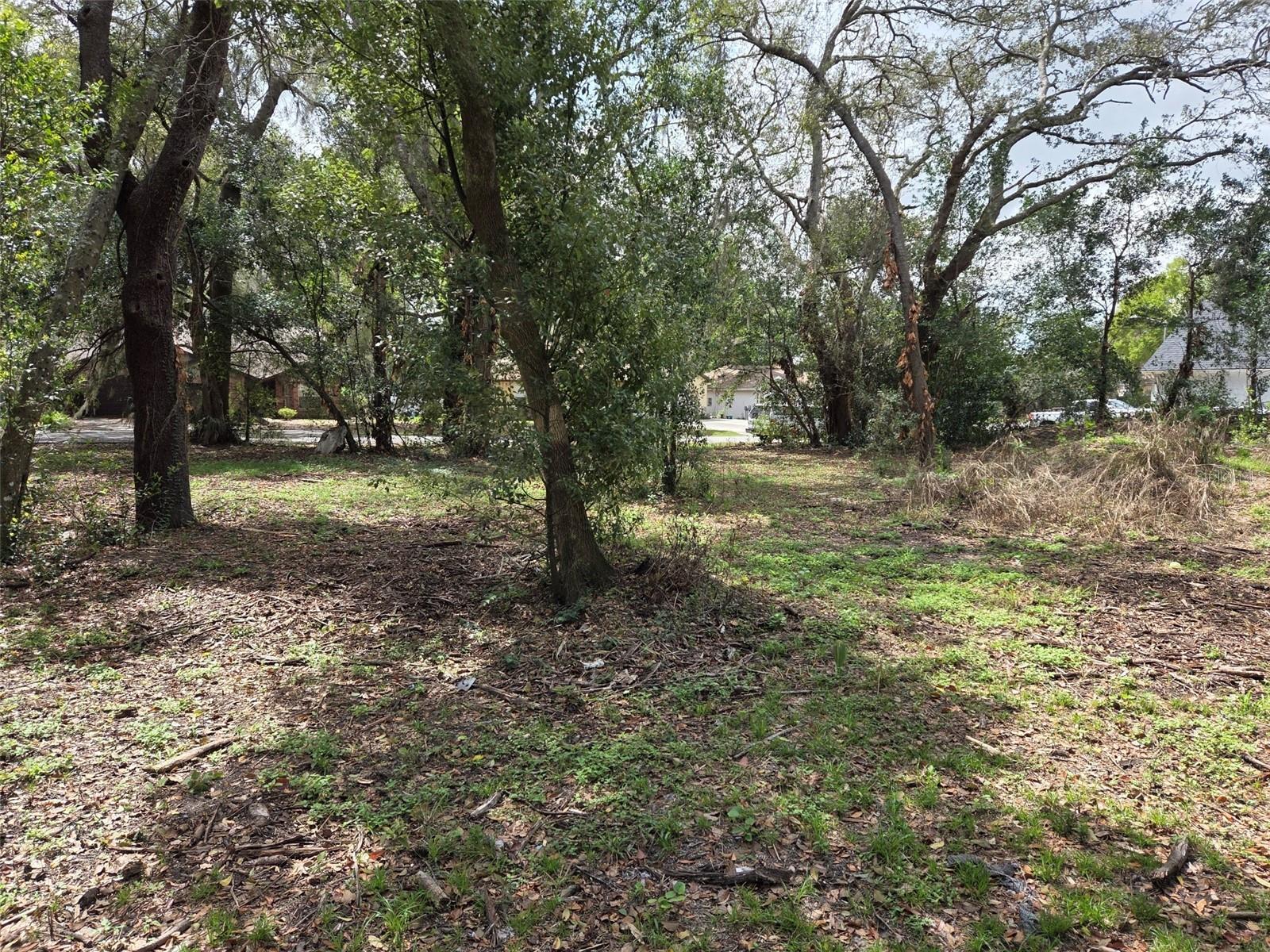 KELLY LYNN COURT, ZEPHYRHILLS, FL — photo 4
