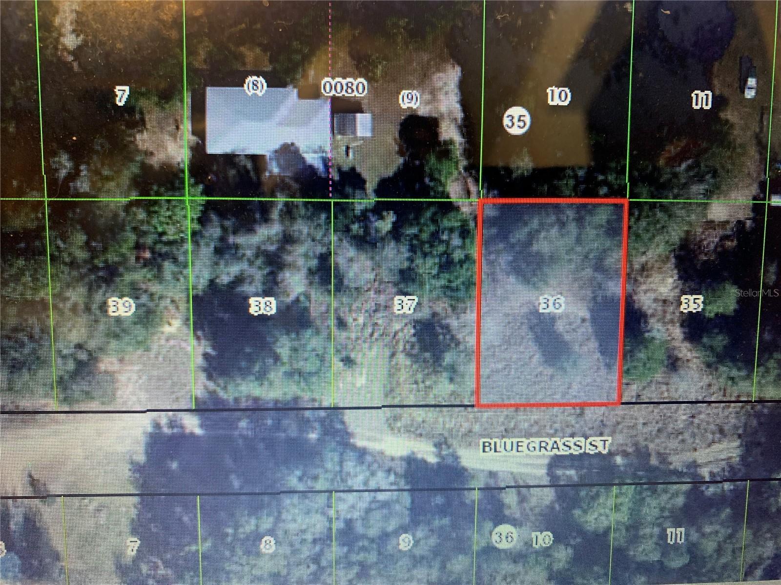 2406 BLUEGRASS ST, INVERNESS, FL