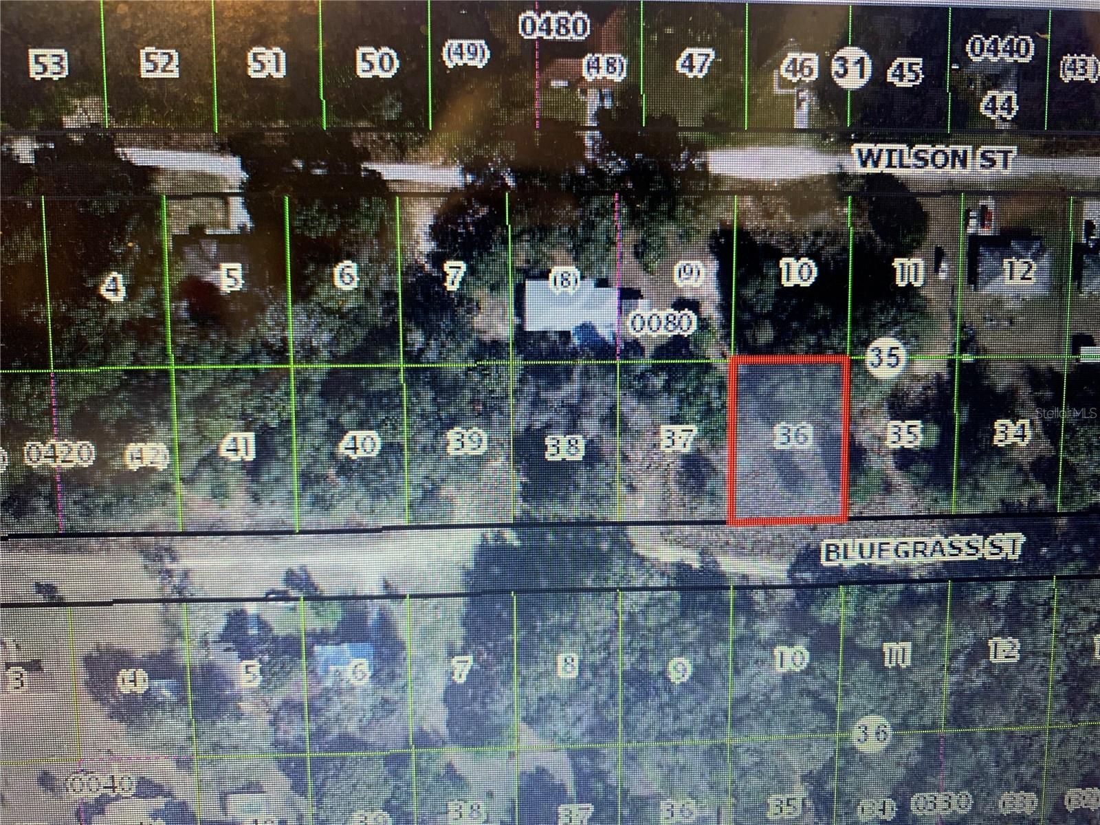 2406 BLUEGRASS ST, INVERNESS, FL — photo 2