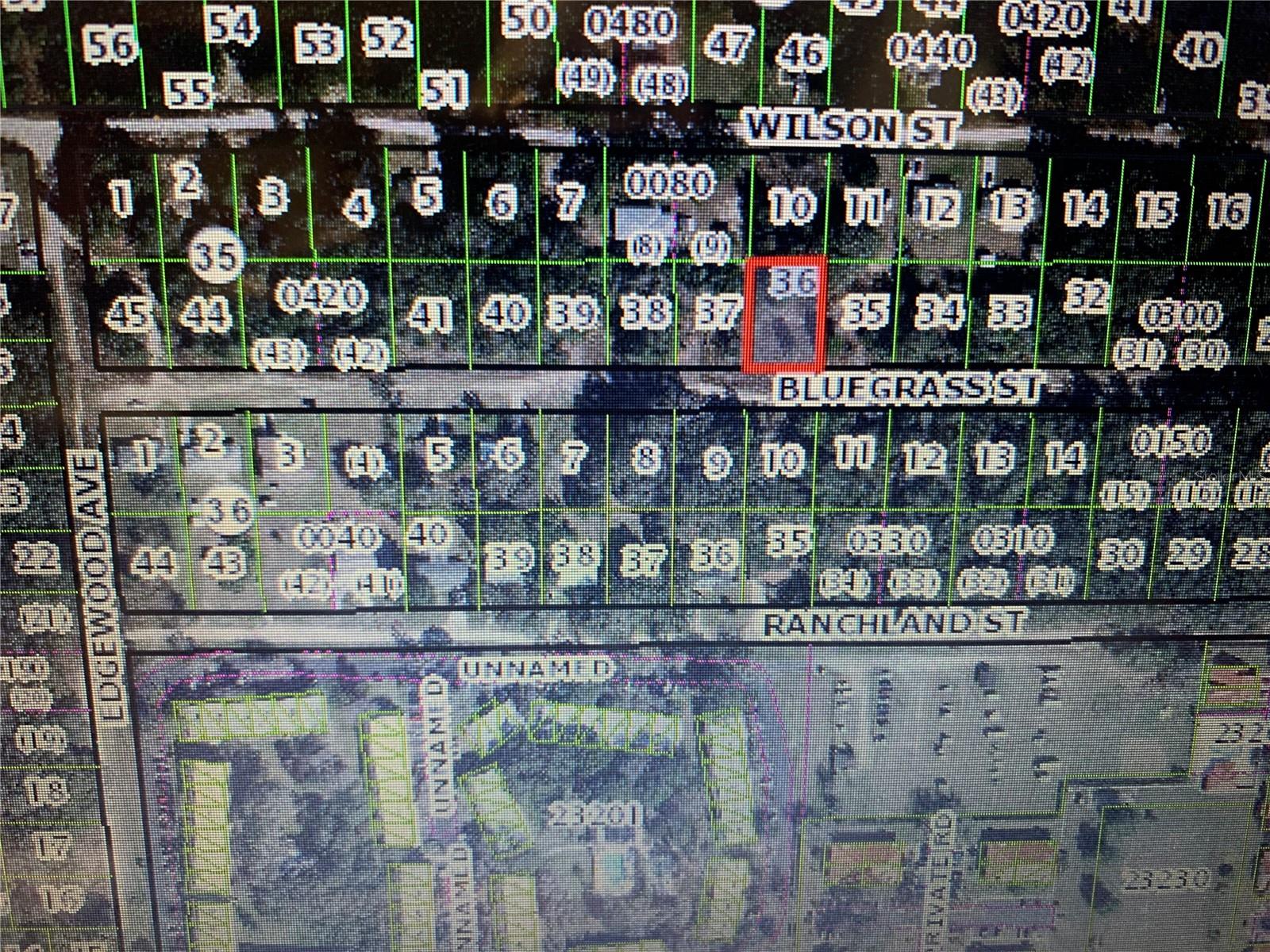 2406 BLUEGRASS ST, INVERNESS, FL — photo 3