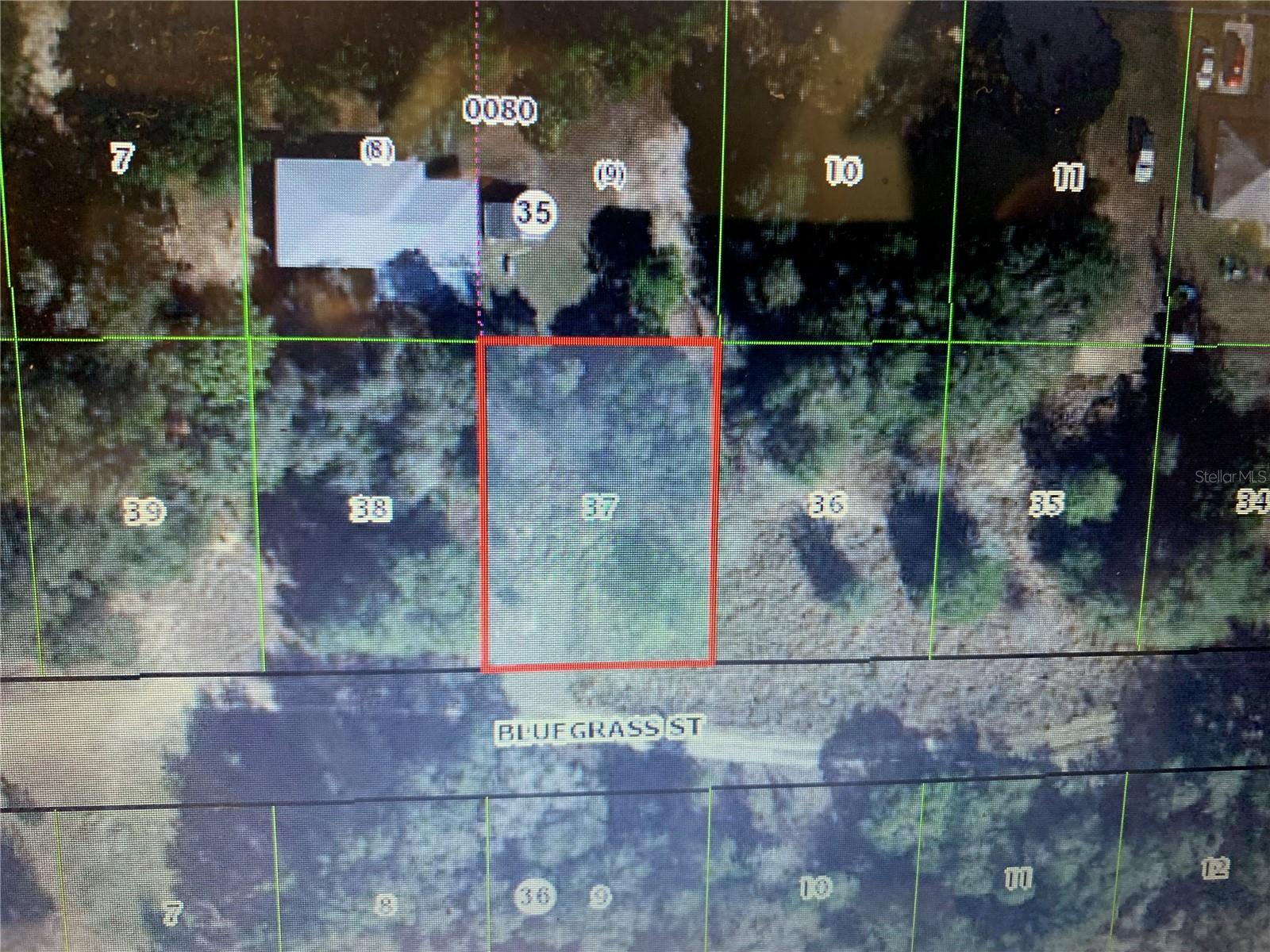 2408 BLUEGRASS ST, INVERNESS, FL