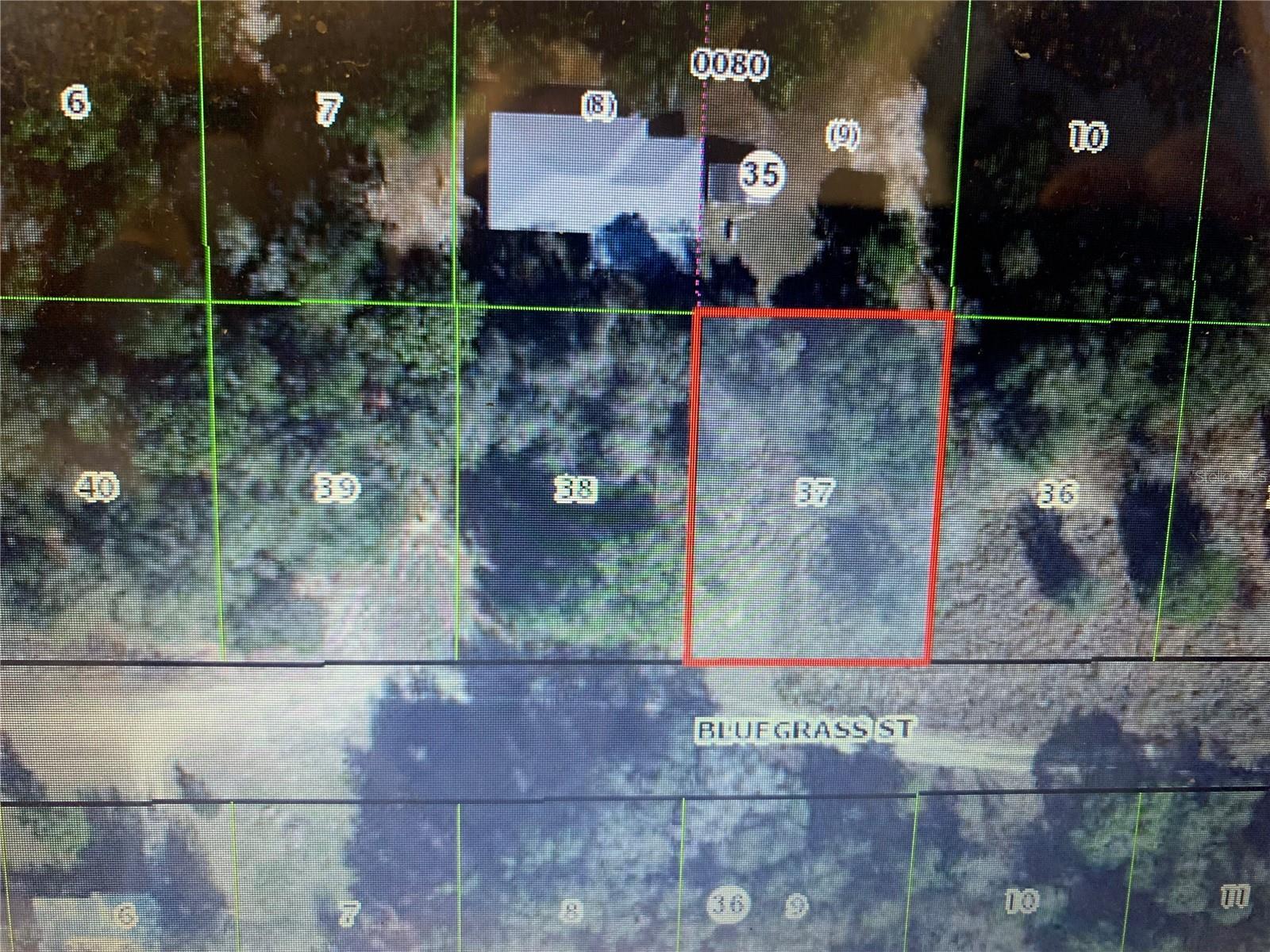 2408 BLUEGRASS ST, INVERNESS, FL — photo 2