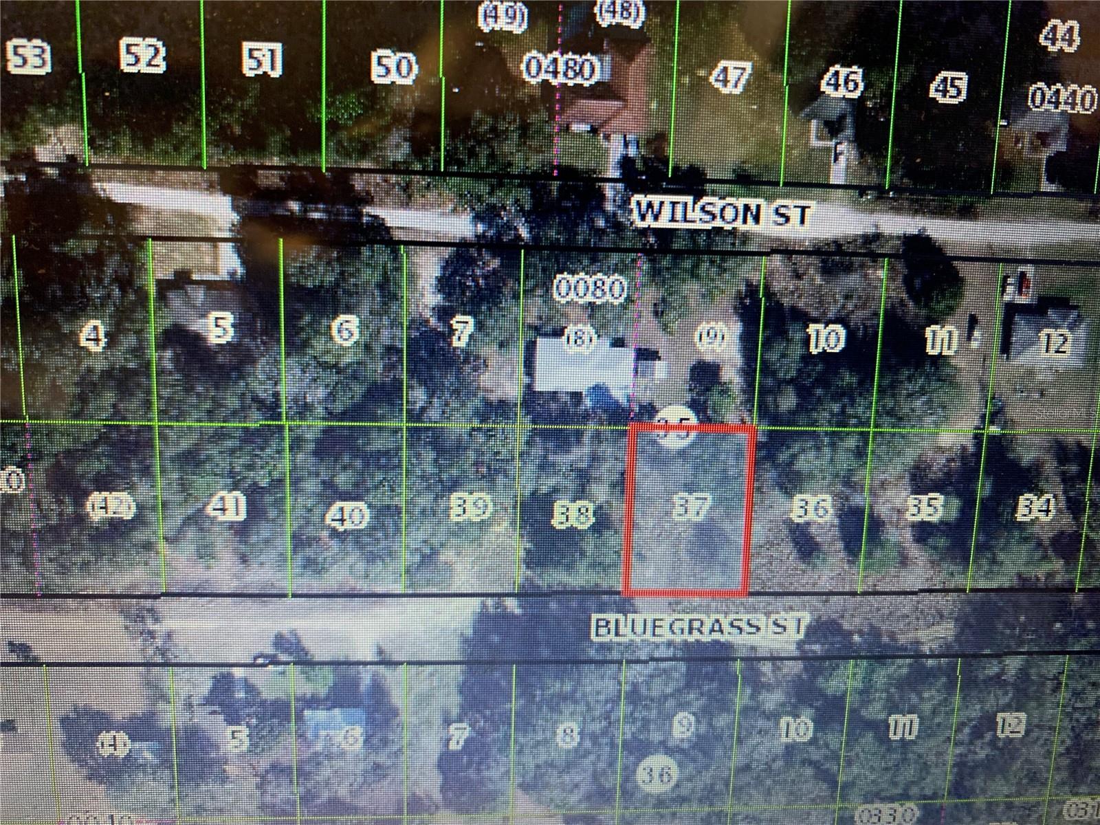 2408 BLUEGRASS ST, INVERNESS, FL — photo 3