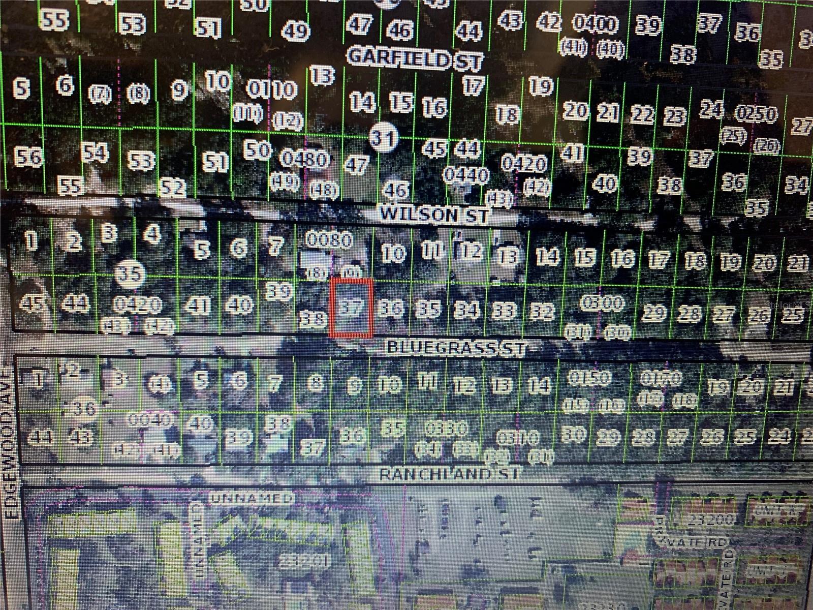 2408 BLUEGRASS ST, INVERNESS, FL — photo 4