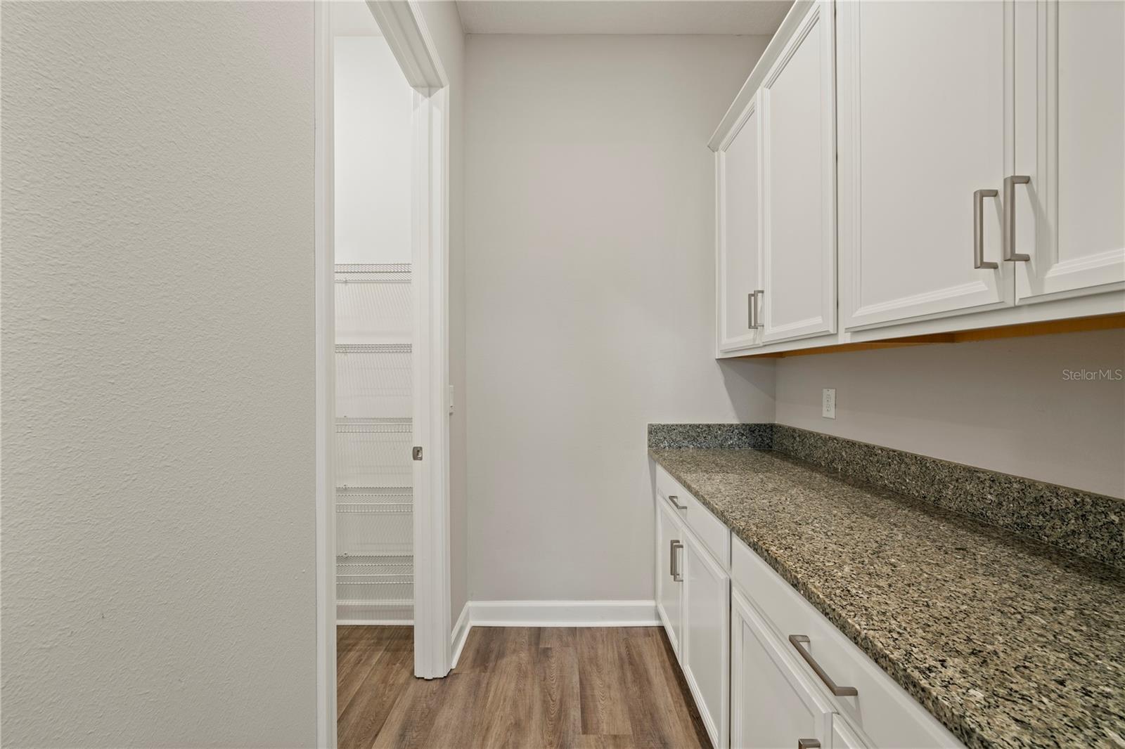 31875 MAGNA GULF LOOP, SAN ANTONIO, FL — photo 44