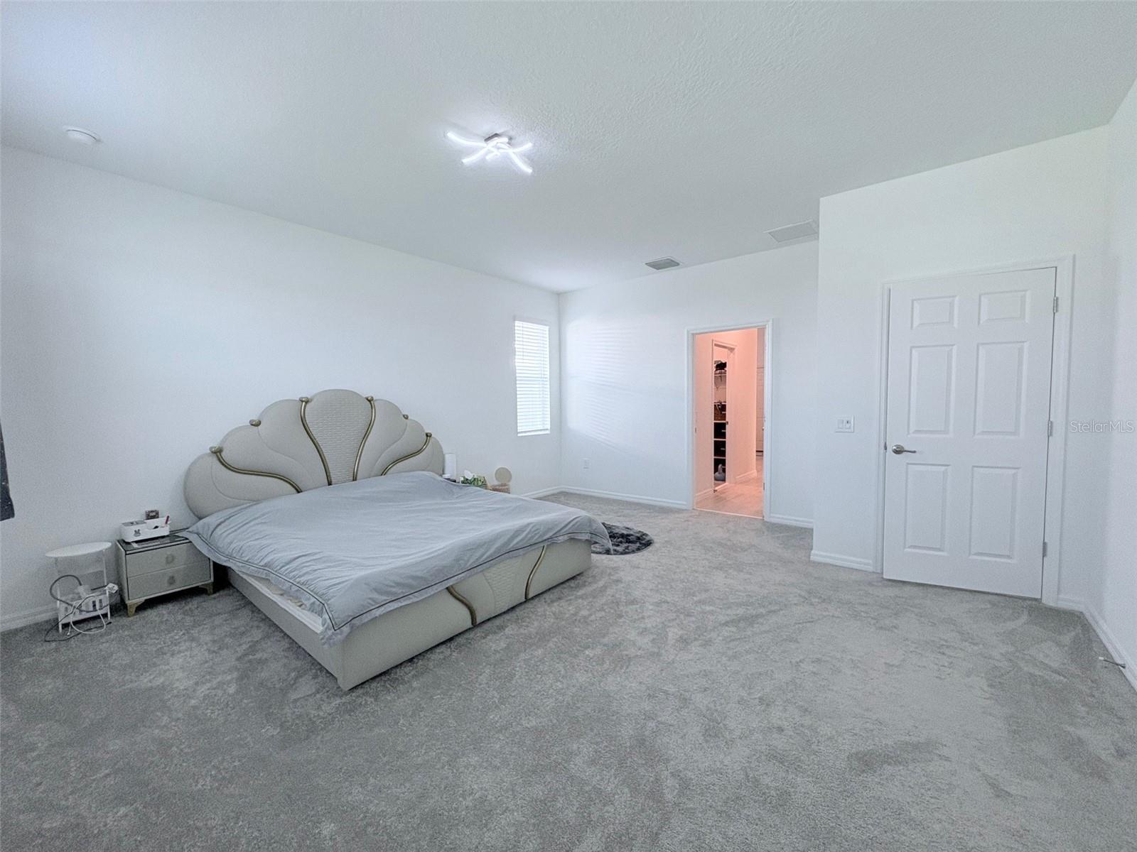 4158 GOOSEBERRY TRL, KISSIMMEE, FL — photo 11