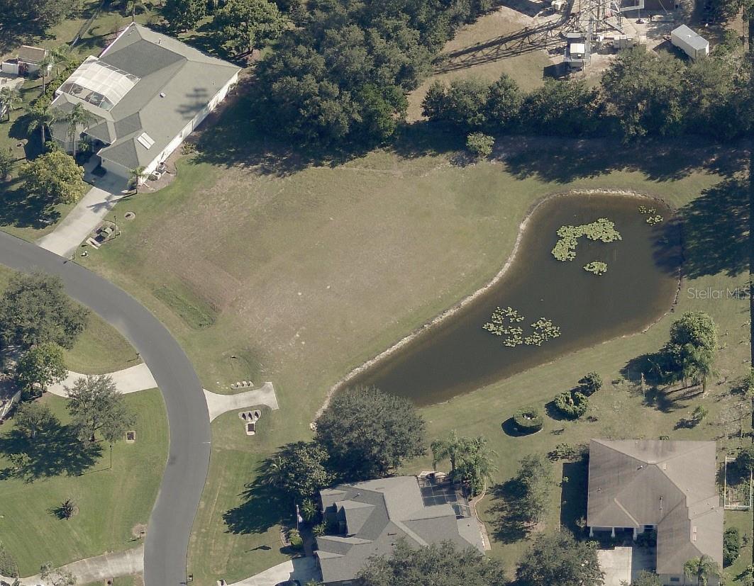 19915 DOLORES ANN CT, LUTZ, FL — photo 2