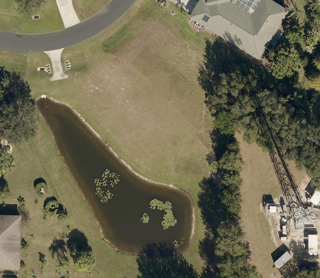 19915 DOLORES ANN CT, LUTZ, FL — photo 3