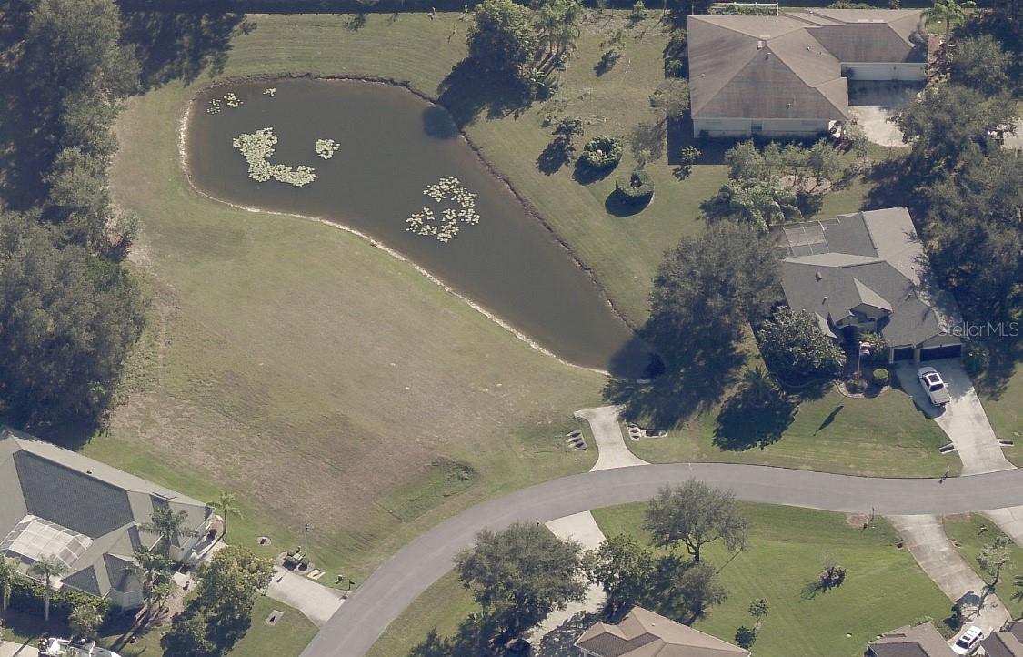 19915 DOLORES ANN CT, LUTZ, FL — photo 5