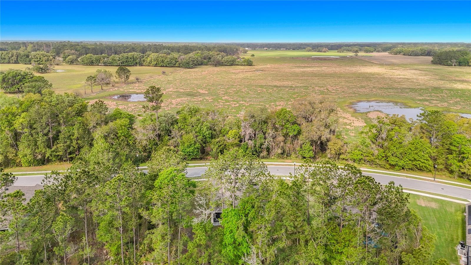 5274 DIANTHA WAY, BROOKSVILLE, FL — photo 56