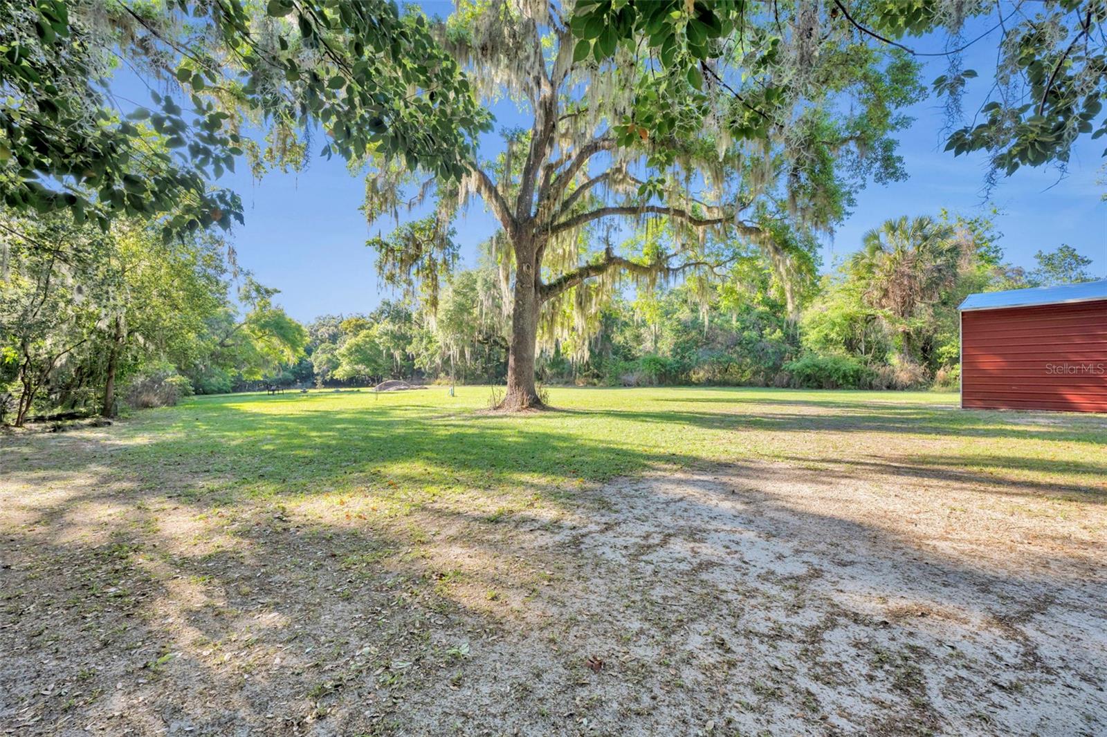 26721 BLOOMFIELD AVE, YALAHA, FL — photo 100
