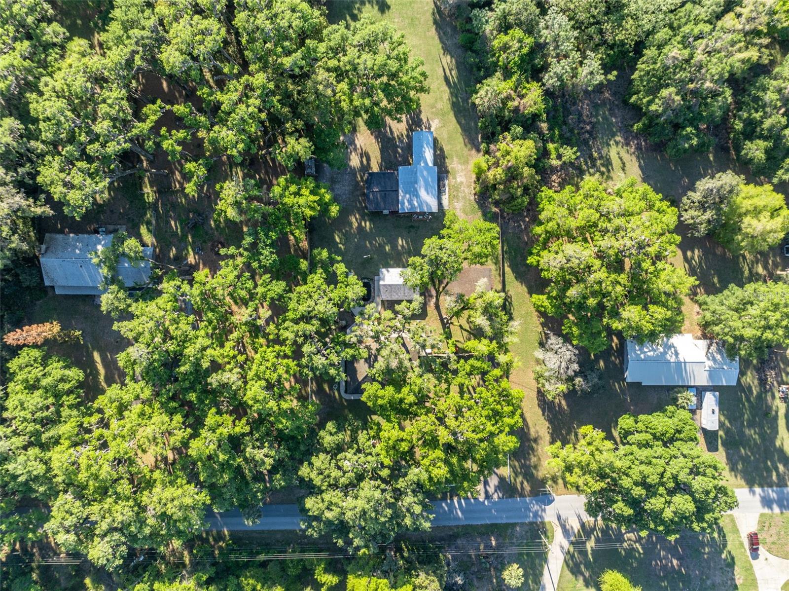 26721 BLOOMFIELD AVE, YALAHA, FL — photo 125