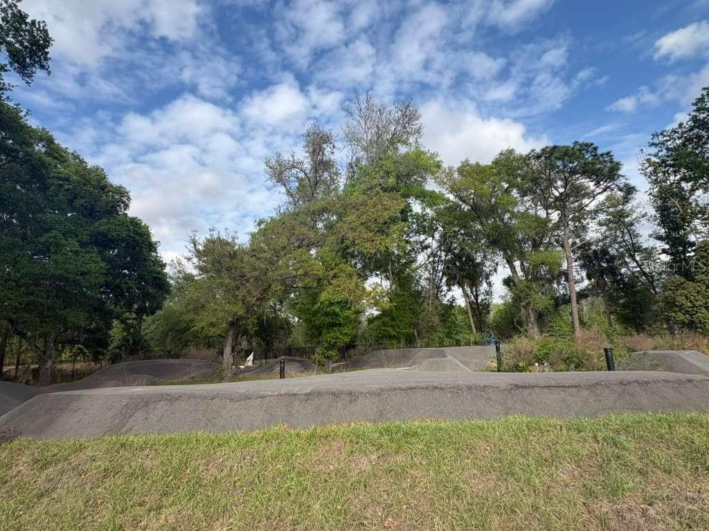 21834 ADRIATIC LN, LAND O LAKES, FL — photo 55