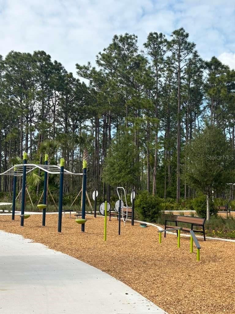 21834 ADRIATIC LN, LAND O LAKES, FL — photo 60