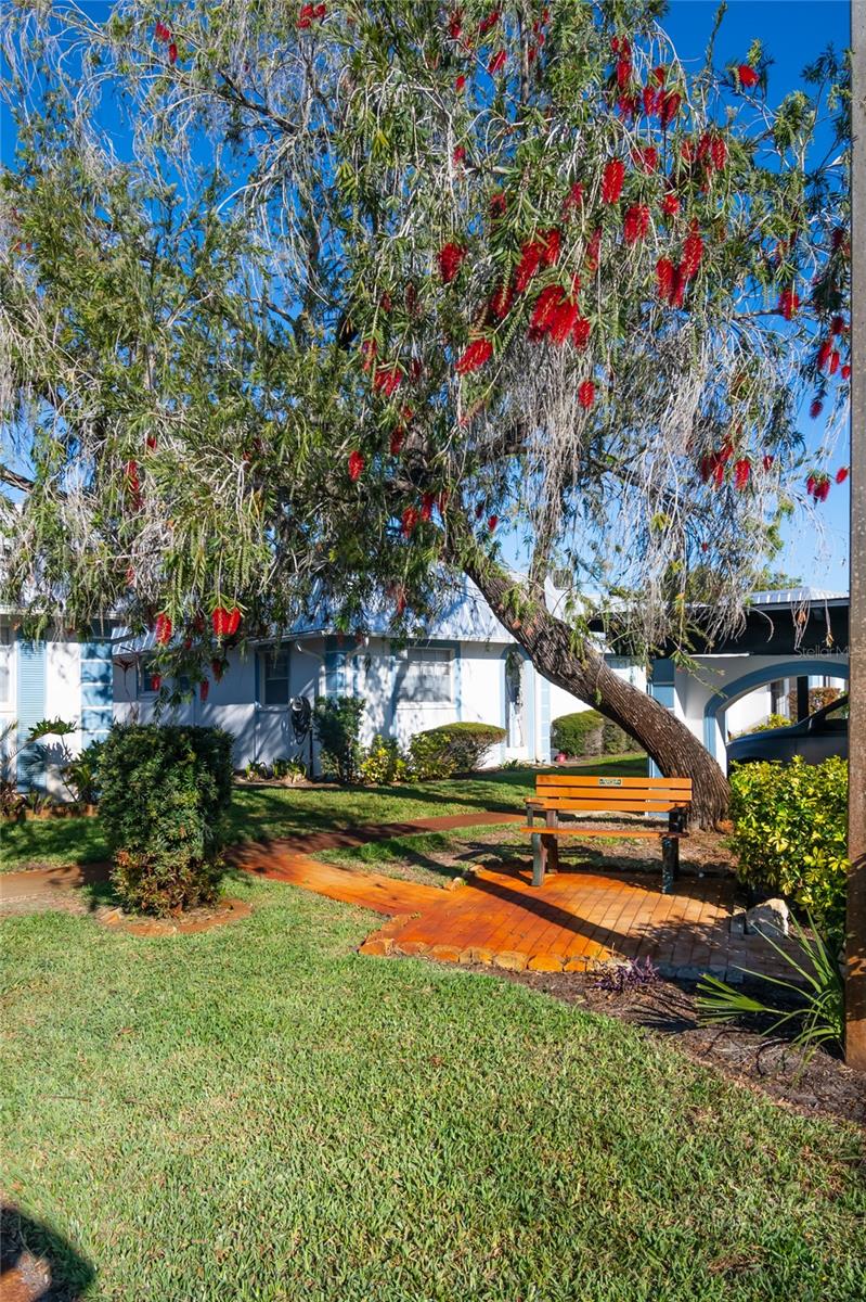 4209 TAMARGO DR #4209, NEW PORT RICHEY, FL — photo 36