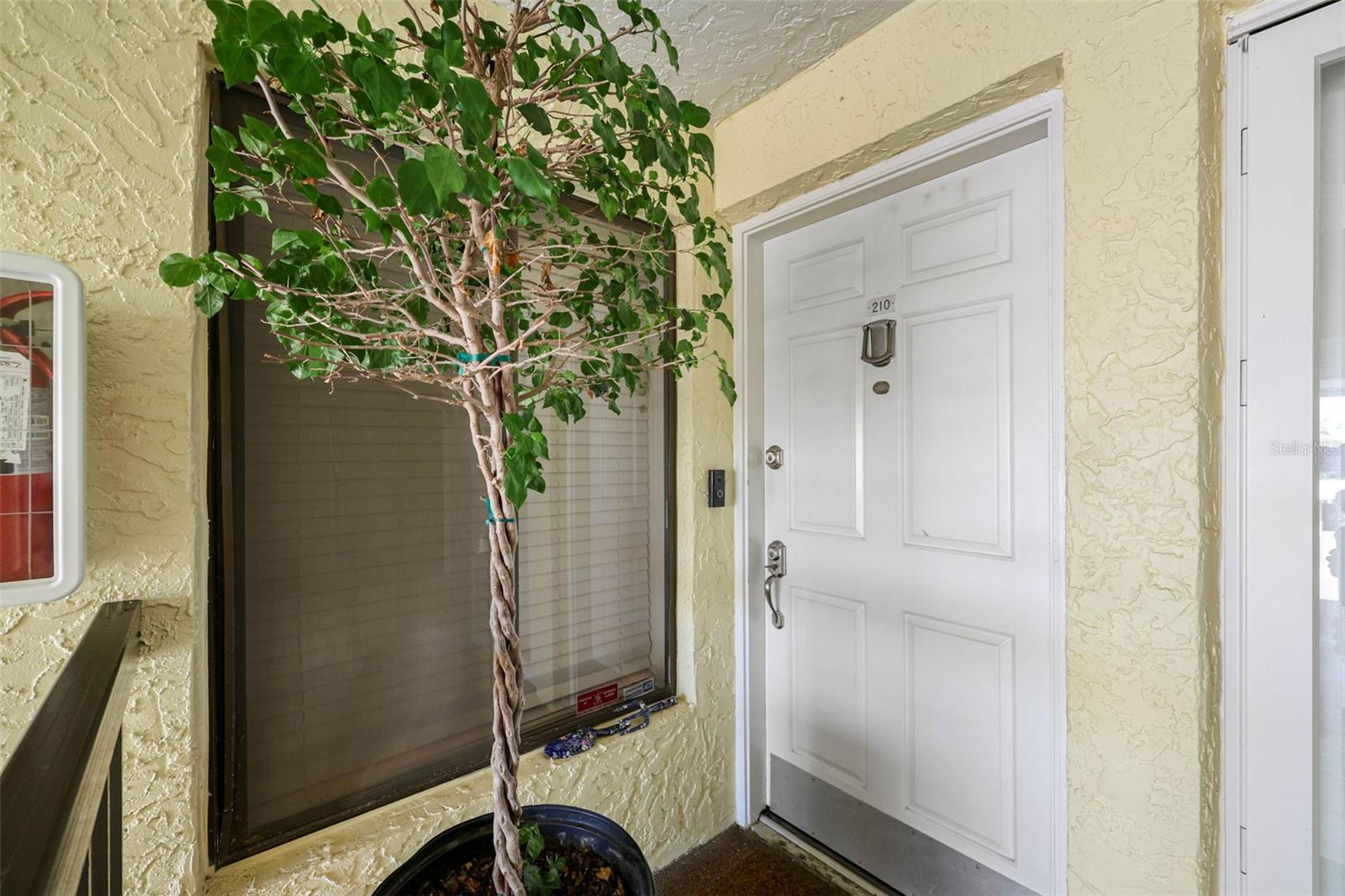 7300 SUNSHINE SKYWAY LN S #210, ST PETERSBURG, FL — photo 6