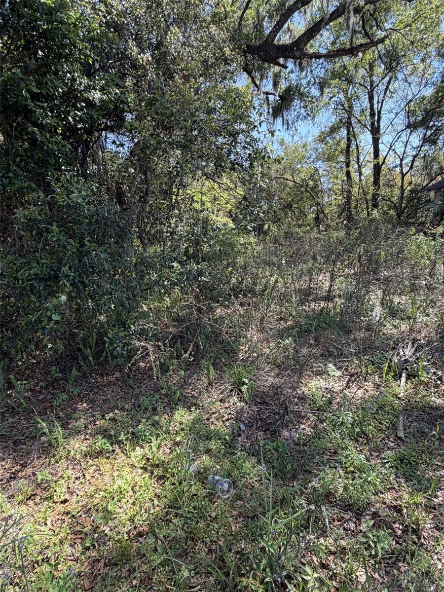 110 E MERCERS FERNERY RD, DELAND, FL — photo 3