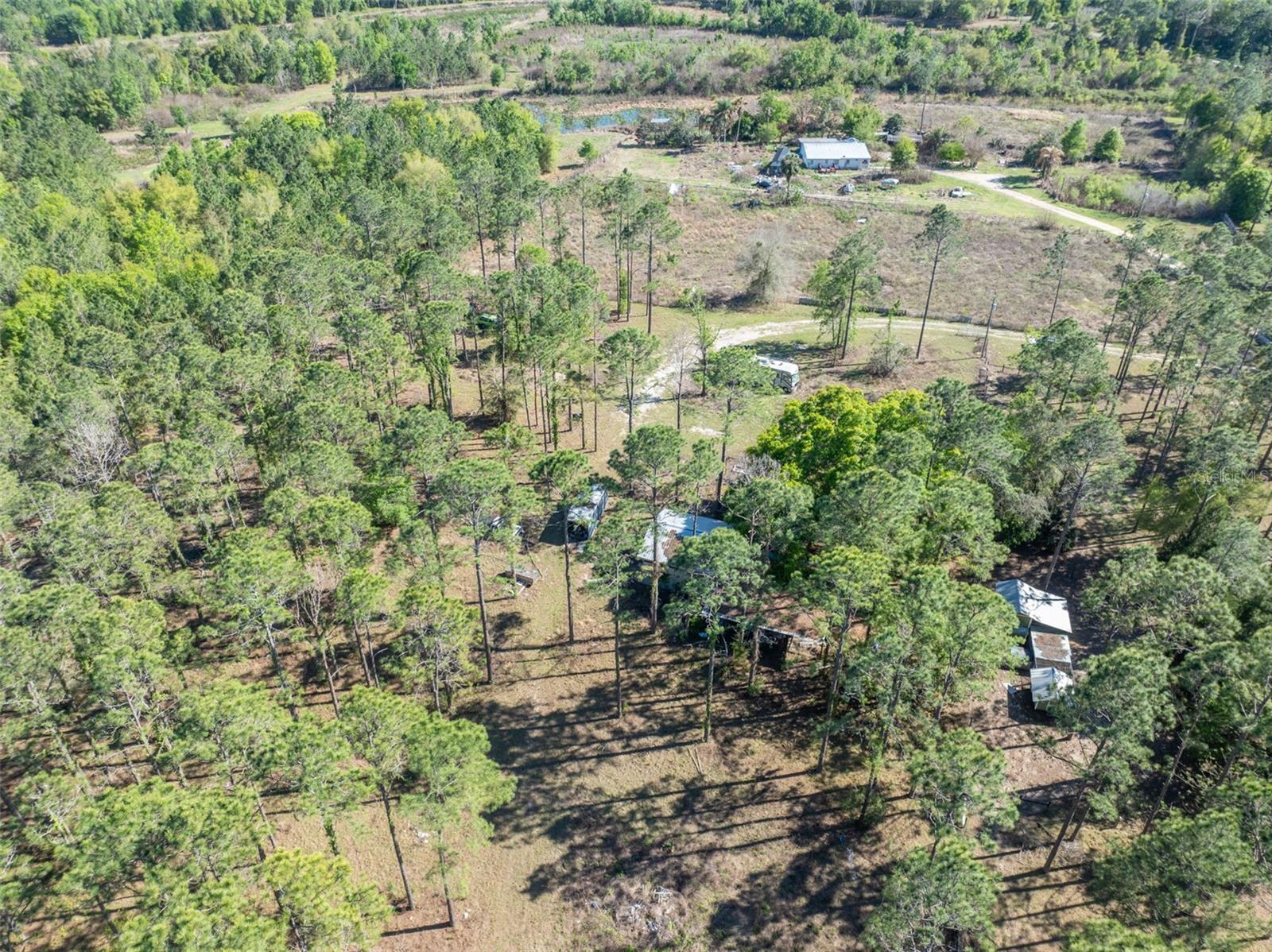 9535 NUMBER TWO RD, HOWEY IN THE HILLS, FL — photo 3