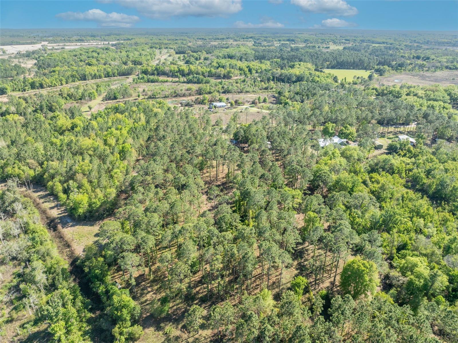 9535 NUMBER TWO RD, HOWEY IN THE HILLS, FL — photo 24