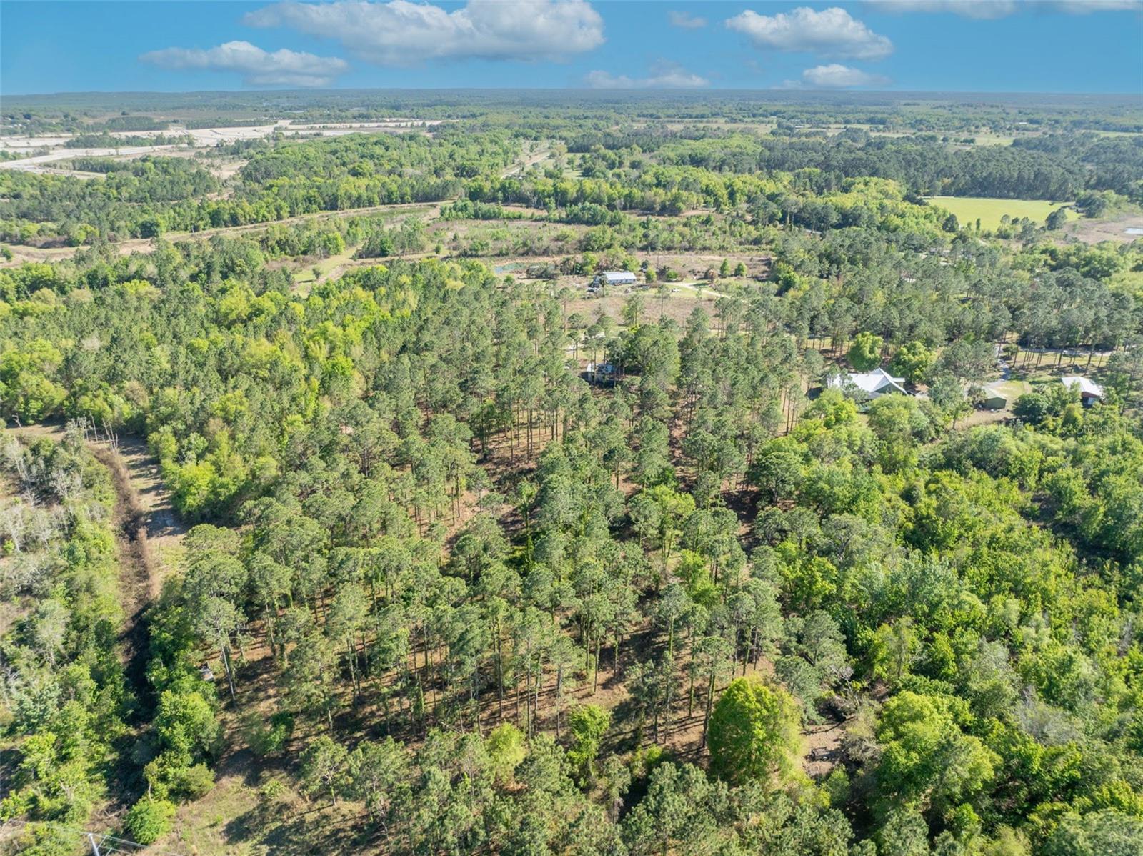 9535 NUMBER TWO RD, HOWEY IN THE HILLS, FL — photo 25