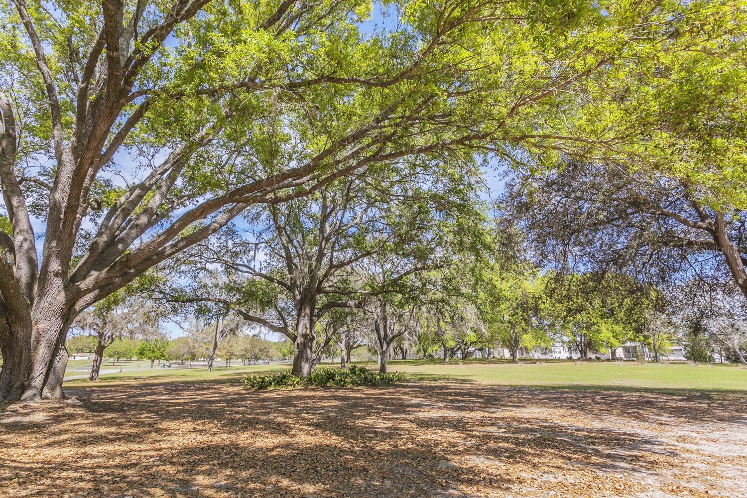 1824 MARION COUNTY RD, WEIRSDALE, FL — photo 28