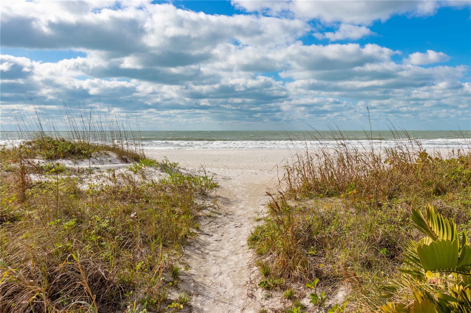 1560 GULF BLVD #1607, CLEARWATER, FL — photo 50