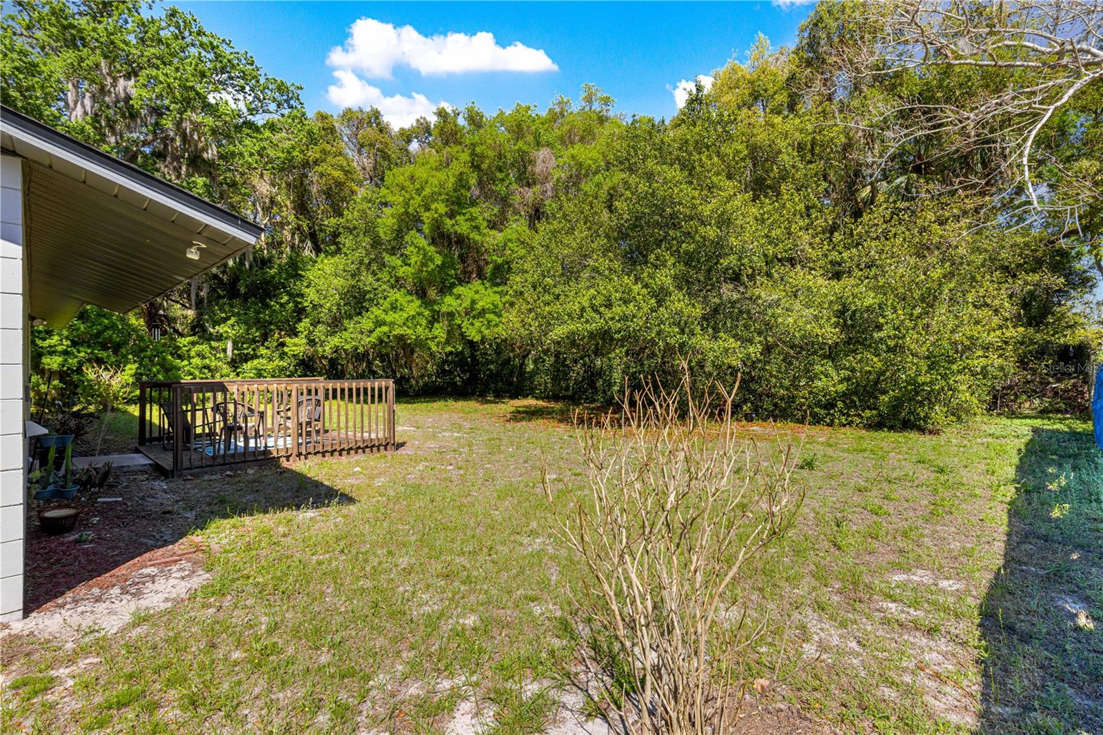 1905 VIRGINIA AVE, EUSTIS, FL — photo 52