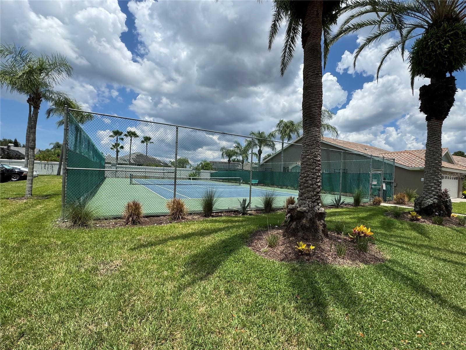 1806 LAGO VISTA BLVD, PALM HARBOR, FL — photo 30