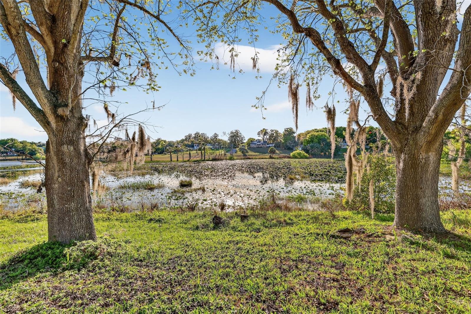 1039 LAKE GRACIE DR, EUSTIS, FL — photo 12