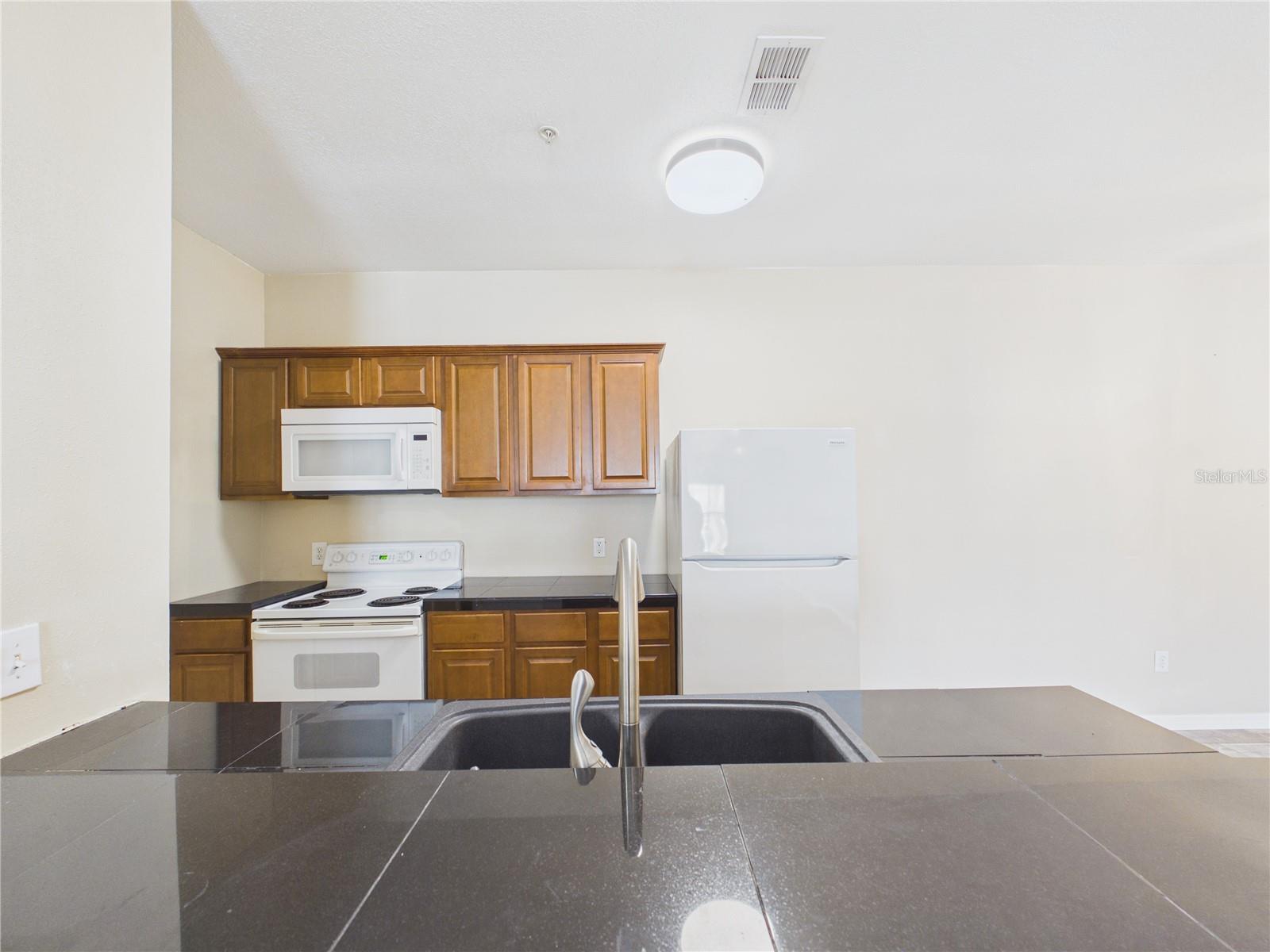 16305 ENCLAVE VILLAGE DR #102, TAMPA, FL — photo 9