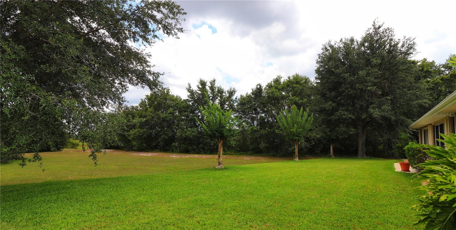 21300 ROYAL ST GEORGES LN, LEESBURG, FL — photo 51